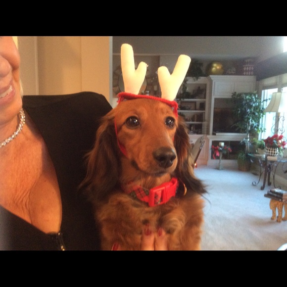 Meet your Posher, Beth - Picture 1 of 1